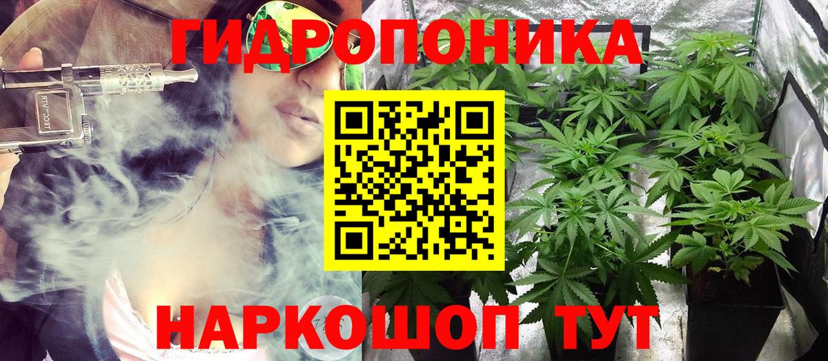 Нижний Новгород  МАРИХУАНА SATIVA & INDICA  Конопля семена  МАРИХУАНА VHQ  Вход с VPN 